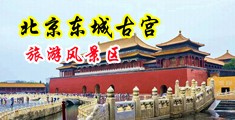 樱花福利中国北京-东城古宫旅游风景区